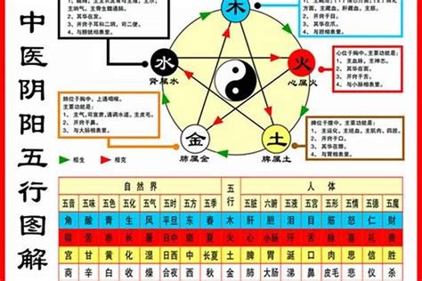 醫生五行|【醫生五行屬什麼】揭曉醫生五行命格！深入瞭解醫療產業五行相。